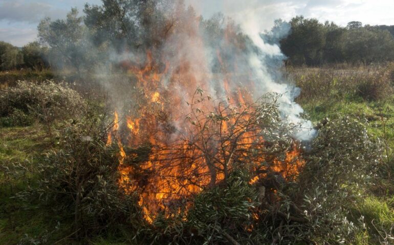 La Junta de Andalucía toma medidas preventivas contra incendios: suspende temporalmente las quemas agrícolas